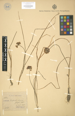 LE 01003404