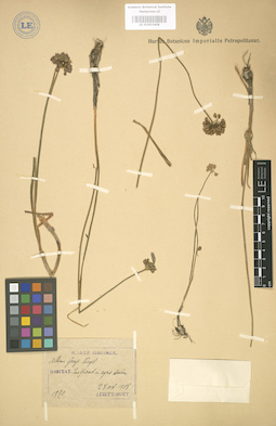 LE 01003408