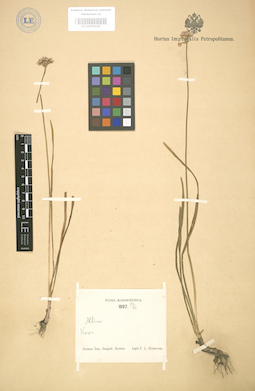 LE 01003410