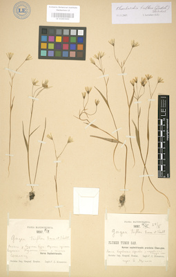 LE 01003442