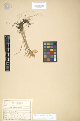 LE 01003462