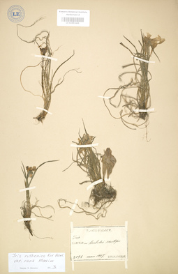 LE 01003465