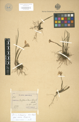 LE 01003466