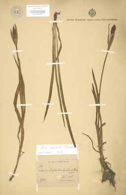 LE 01003467