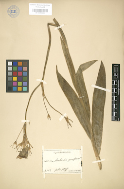 LE 01003469