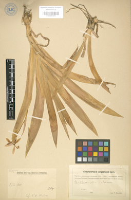 LE 01003470