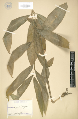 LE 01003471