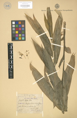 LE 01003472