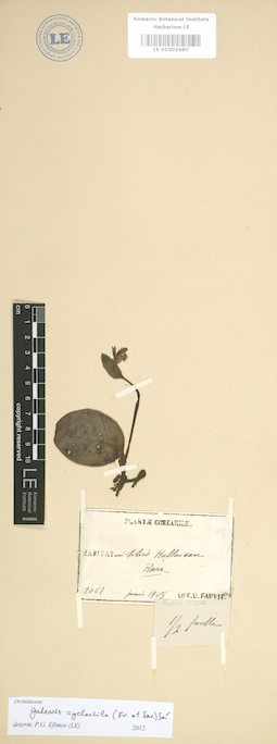 LE 01003480