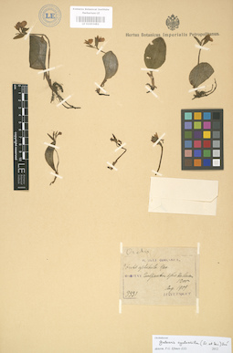 LE 01003482
