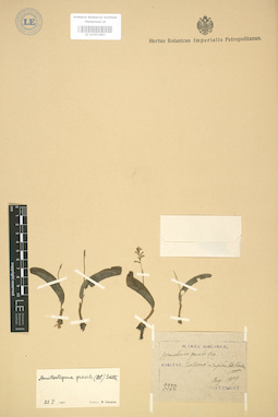 LE 01003483