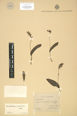 LE 01003484