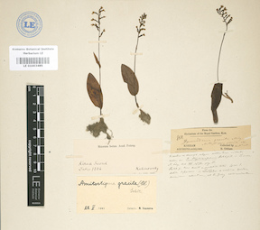 LE 01003485