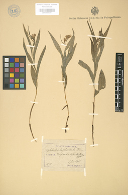 LE 01003526