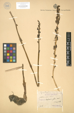 LE 01003530