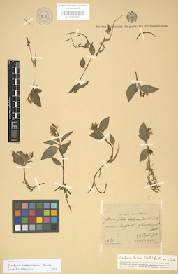 LE 01003547