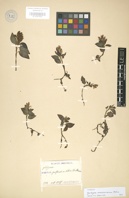 LE 01003550