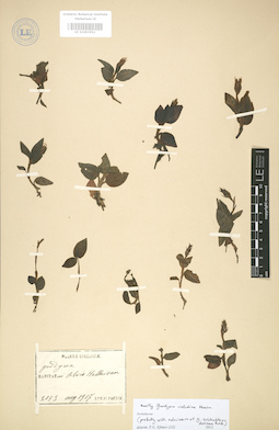 LE 01003551