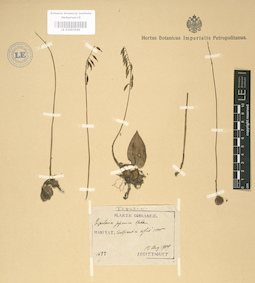 LE 01003566