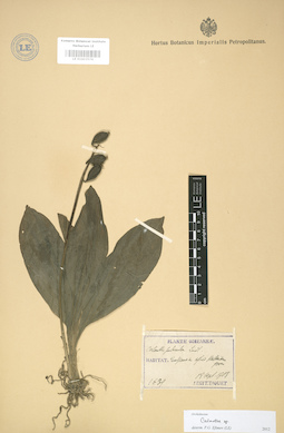 LE 01003574
