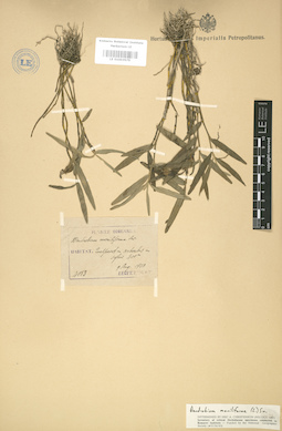 LE 01003575