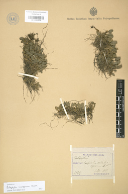LE 01003578