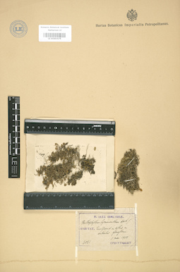 LE 01003579