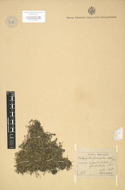 LE 01003580