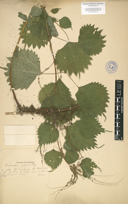 LE 01003613