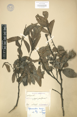 LE 01003629