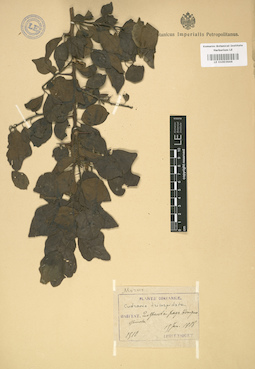 LE 01003644