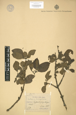 LE 01003645