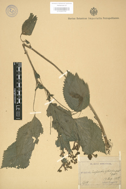LE 01003700