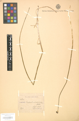 LE 01003767