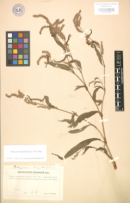 LE 01003769