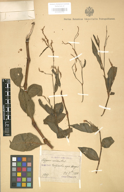 LE 01003770