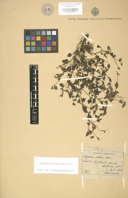 LE 01003777