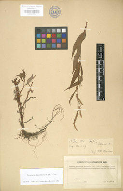 LE 01003782