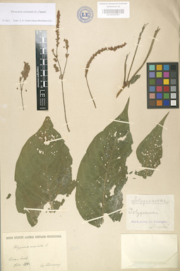 LE 01003783