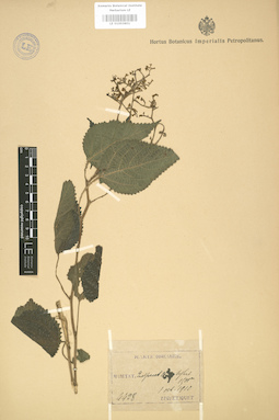 LE 01003801