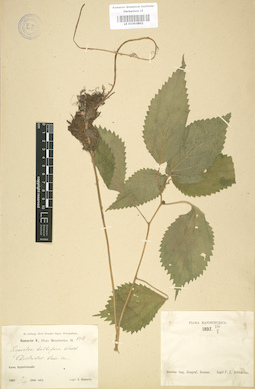 LE 01003802