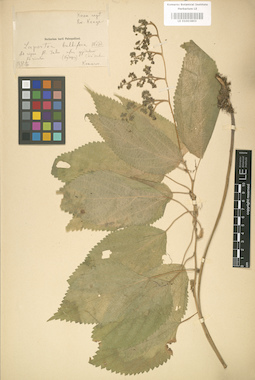 LE 01003803