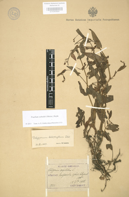 LE 01003824