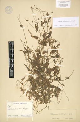 LE 01003825