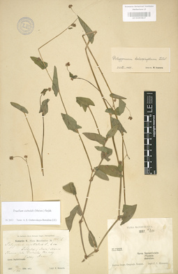 LE 01003827