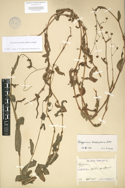 LE 01003828