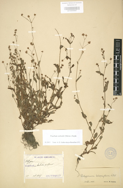 LE 01003830
