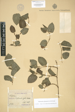 LE 01003833