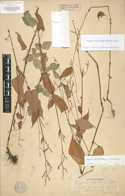 LE 01003841