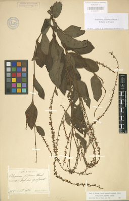LE 01003843